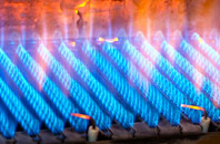 Churnet Grange gas fired boilers